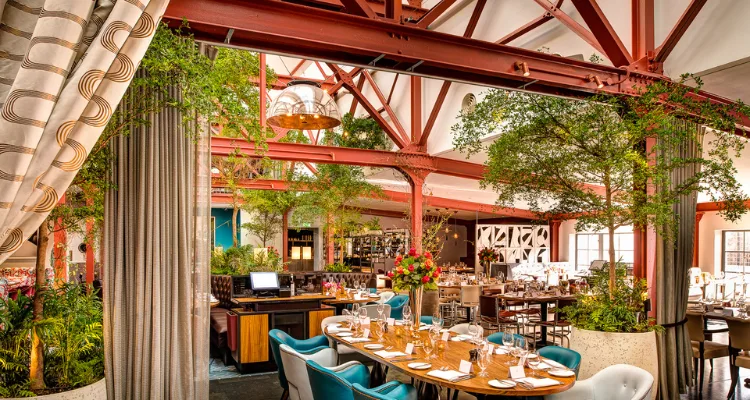 Bluebird restaurant dining room conveying an airy, plant-filled atmosphere