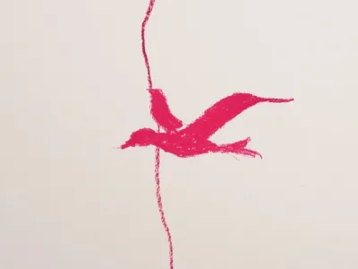 Bird symbol intersecting a vertical boundary, evoking the transition between river and sea.