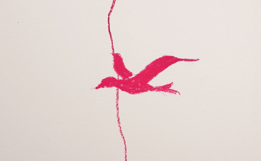 Bird symbol intersecting a vertical boundary, evoking the transition between river and sea.