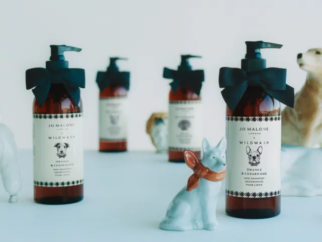 Jo Malone Wildwash dog shampoo product display for Chelsea Dog Day