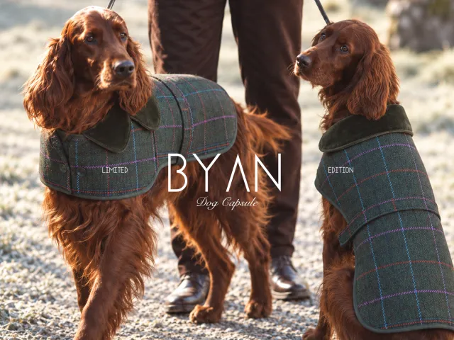 Two leashed dogs wearing BYAN limited-edition dog coats