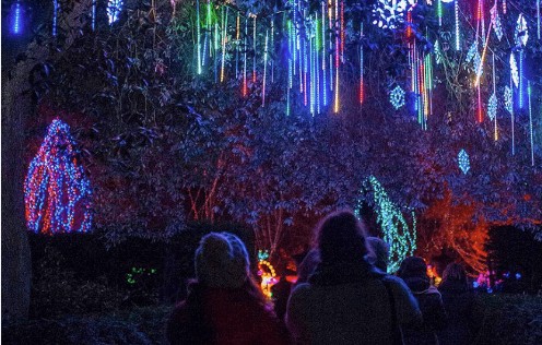 Chelsea Winter Village holiday illuminations with visitors gathered beneath hanging lights