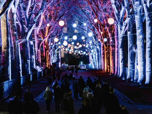 Visitors walk a tree-lined path lit for a Chelsea holiday lights event.