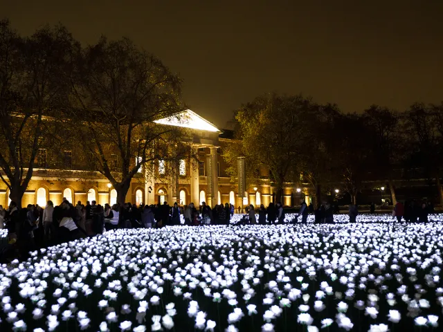 Field of illuminated artificial roses forming a public Christmas light installation outside a museum, drawing visitors.