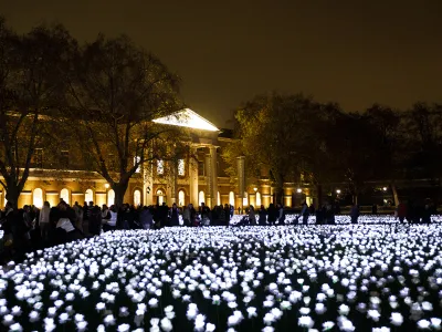 Ever After Garden night light installation of thousands of glowing artificial flowers attracting visitors to a historic building at night.