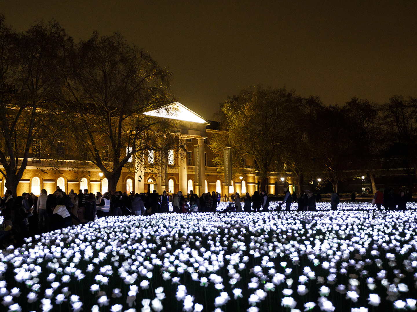 Ever After Garden night light installation of thousands of glowing artificial flowers attracting visitors to a historic building at night.
