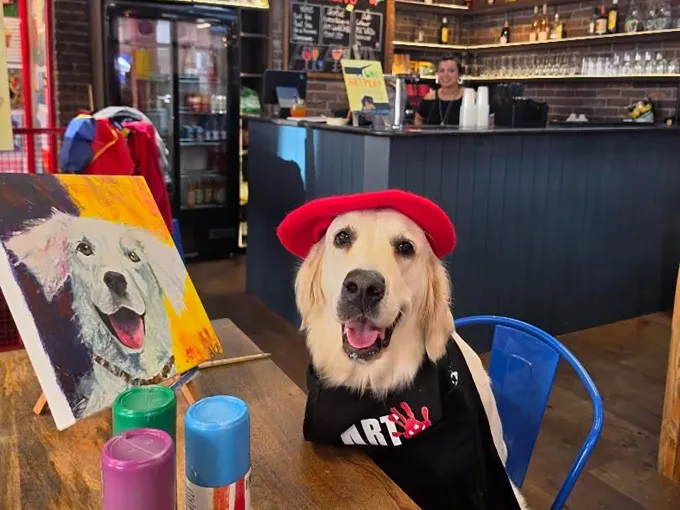 Golden retriever wearing a beret and scarf seated at a cafe table, enjoying a dog-friendly dining experience.