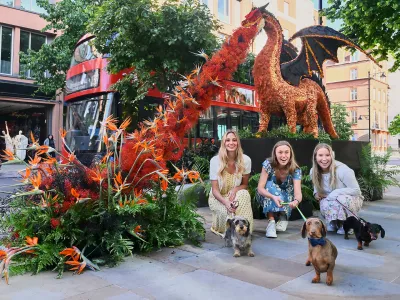 Three women with leashed small dogs enjoying a Chelsea street scene by a decorative sculpture, illustrating dog-friendly walks and local atmosphere.