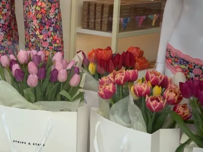 Boutique spring window with wrapped tulip bouquets suggesting seasonal gifts from female-founded brands.
