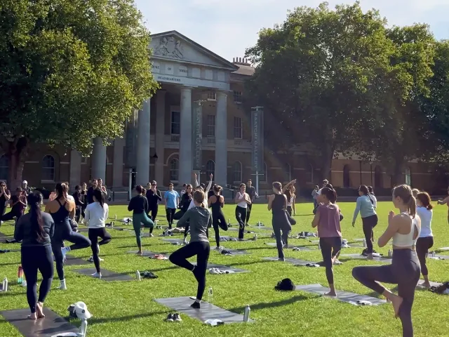 Group outdoor yoga class practicing balance poses for wellness and community.